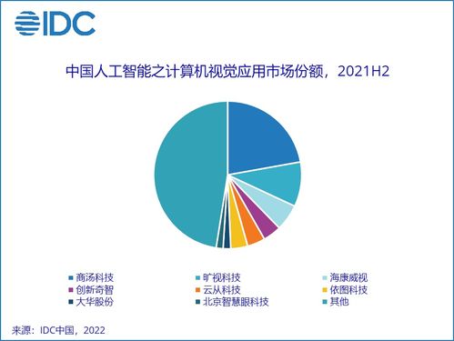 人工智能應(yīng)用軟件開(kāi)發(fā) 解讀IDC 2021年中國(guó)AI軟件市場(chǎng)52.8億美元背后的機(jī)遇與挑戰(zhàn)